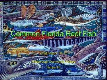 Common Florida Reef Fish