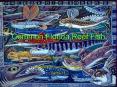 Common Florida Reef Fish PowerPoint PPT Presentation