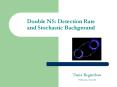 Double NS: Detection Rate and Stochastic Background PowerPoint PPT Presentation