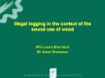 Illegal logging in the context of the sound use of wood PowerPoint PPT Presentation