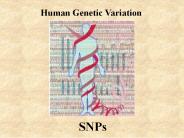 Human Genetic Variation