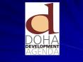 The Doha Development Agenda PowerPoint PPT Presentation