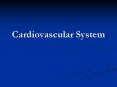Cardiovascular System PowerPoint PPT Presentation