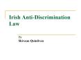 Irish AntiDiscrimination Law PowerPoint PPT Presentation