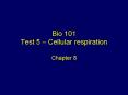 Bio 101 Test 5 Cellular respiration Chapter 8 PowerPoint PPT Presentation