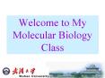 Welcome to My Molecular Biology Class PowerPoint PPT Presentation