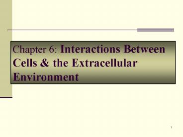 Chapter 6: Interactions Between Cells