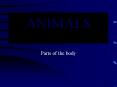 ANIMALS PowerPoint PPT Presentation