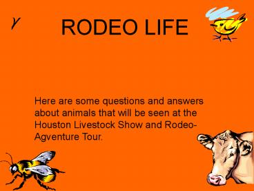 RODEO LIFE