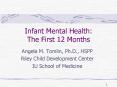 Infant Mental Health: The First 12 Months PowerPoint PPT Presentation
