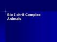 Bio I ch8 Complex Animals PowerPoint PPT Presentation