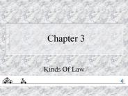 Kinds Of Law