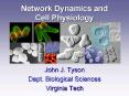 Network Dynamics and Cell Physiology PowerPoint PPT Presentation