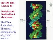 The DNA double helix'