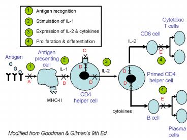 presentation player overlay