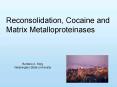 Reconsolidation, Cocaine and PowerPoint PPT Presentation