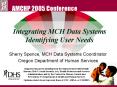 Integrating MCH Data Systems Identifying User Needs PowerPoint PPT Presentation