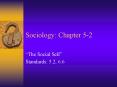Sociology: Chapter 5-2 PowerPoint PPT Presentation