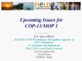 Upcoming Issues for COP-11/MOP 1 ______________ PowerPoint PPT Presentation