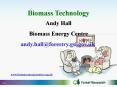 Biomass Technology PowerPoint PPT Presentation