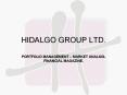 HIDALGO GROUP LTD' PowerPoint PPT Presentation