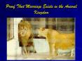 Proof That Marriage Exists in the Animal Kingdom PowerPoint PPT Presentation