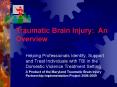 Traumatic Brain Injury: An Overview PowerPoint PPT Presentation