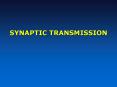 SYNAPTIC TRANSMISSION PowerPoint PPT Presentation
