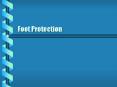 Foot Protection PowerPoint PPT Presentation