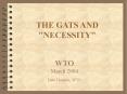 THE GATS AND "NECESSITY" PowerPoint PPT Presentation