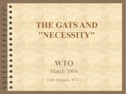 THE GATS AND "NECESSITY"