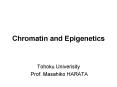 Chromatin and Epigenetics PowerPoint PPT Presentation