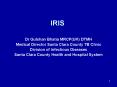 IRIS PowerPoint PPT Presentation