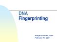 DNA Fingerprinting PowerPoint PPT Presentation