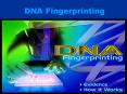 DNA Fingerprinting PowerPoint PPT Presentation