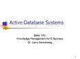 Active Database Systems PowerPoint PPT Presentation