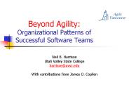 Beyond Agility: Organizational Patterns of Successful Software Teams