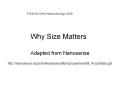 Why Size Matters PowerPoint PPT Presentation