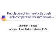 Regulation of immunity through T-cell competition for interleukin-2