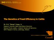 The Genetics of Feed Efficiency in Cattle