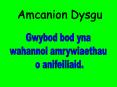 Amcanion Dysgu PowerPoint PPT Presentation