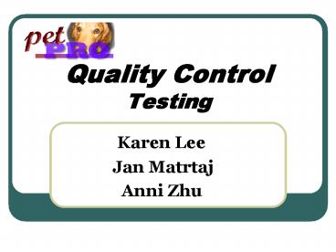 presentation player overlay