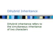 Dihybrid Inheritance