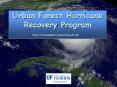 Urban Forest Hurricane Recovery Program PowerPoint PPT Presentation
