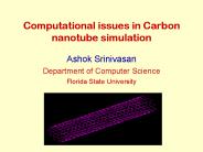 Computational issues in Carbon nanotube simulation