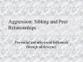Aggression: Sibling and Peer Relationships PowerPoint PPT Presentation