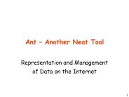 Ant 