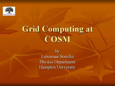 Grid Computing at COSM