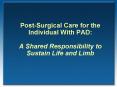 PostSurgical Care for the Individual With PAD: A Shared Responsibility to Sustain Life and Limb PowerPoint PPT Presentation