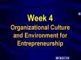 Week 4 Organizational Culture and Environment for Entrepreneurship PowerPoint PPT Presentation